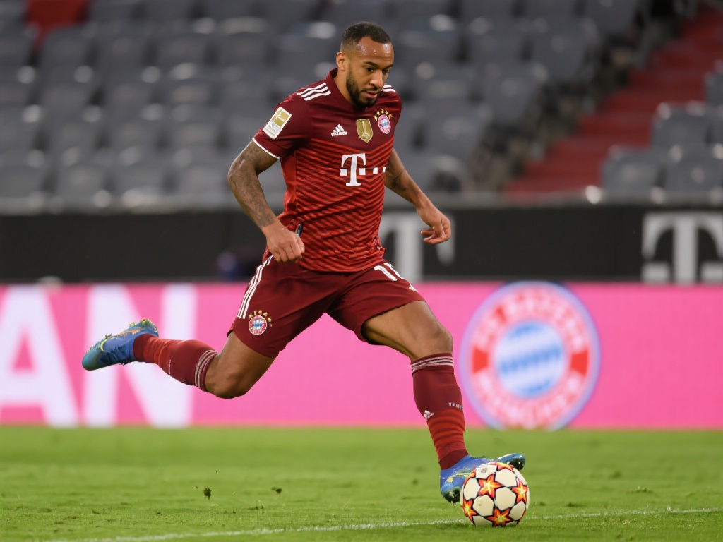 过去十多年 过去十多年